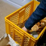 شقة Haus Oschtna *