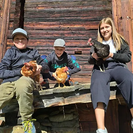 Haus Oschtna Appartement Sankt Veit in Defereggen